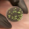Original · Peridot · SS4 (1.6mm)