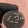 Original · Chrysolite · SS5 (1.8mm)