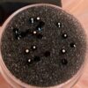 Original · Jet · SS5 (1.8mm)