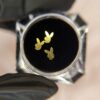 img_0543 Playboy Bunny Smile Gem – Gold Finish