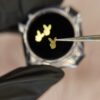 img_0547 Playboy Bunny Smile Gem – Gold Finish